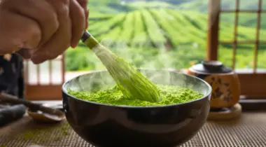 le guide ultime du matcha au japon uji nishio et les plantations accessibles