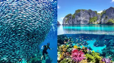 snorkeling aux philippines moalboal vs el nido spots coralliens 2025